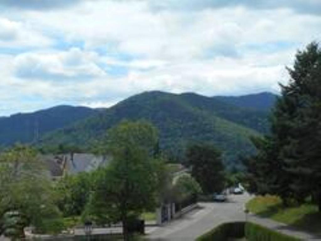 Gite Spacieux, Lumineux Et Tres Cosy Lautenbach Buitenkant foto