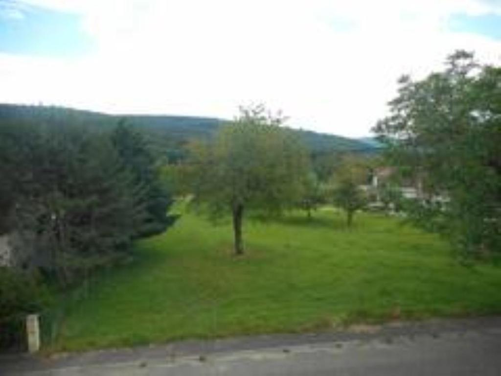 Gite Spacieux, Lumineux Et Tres Cosy Lautenbach Buitenkant foto