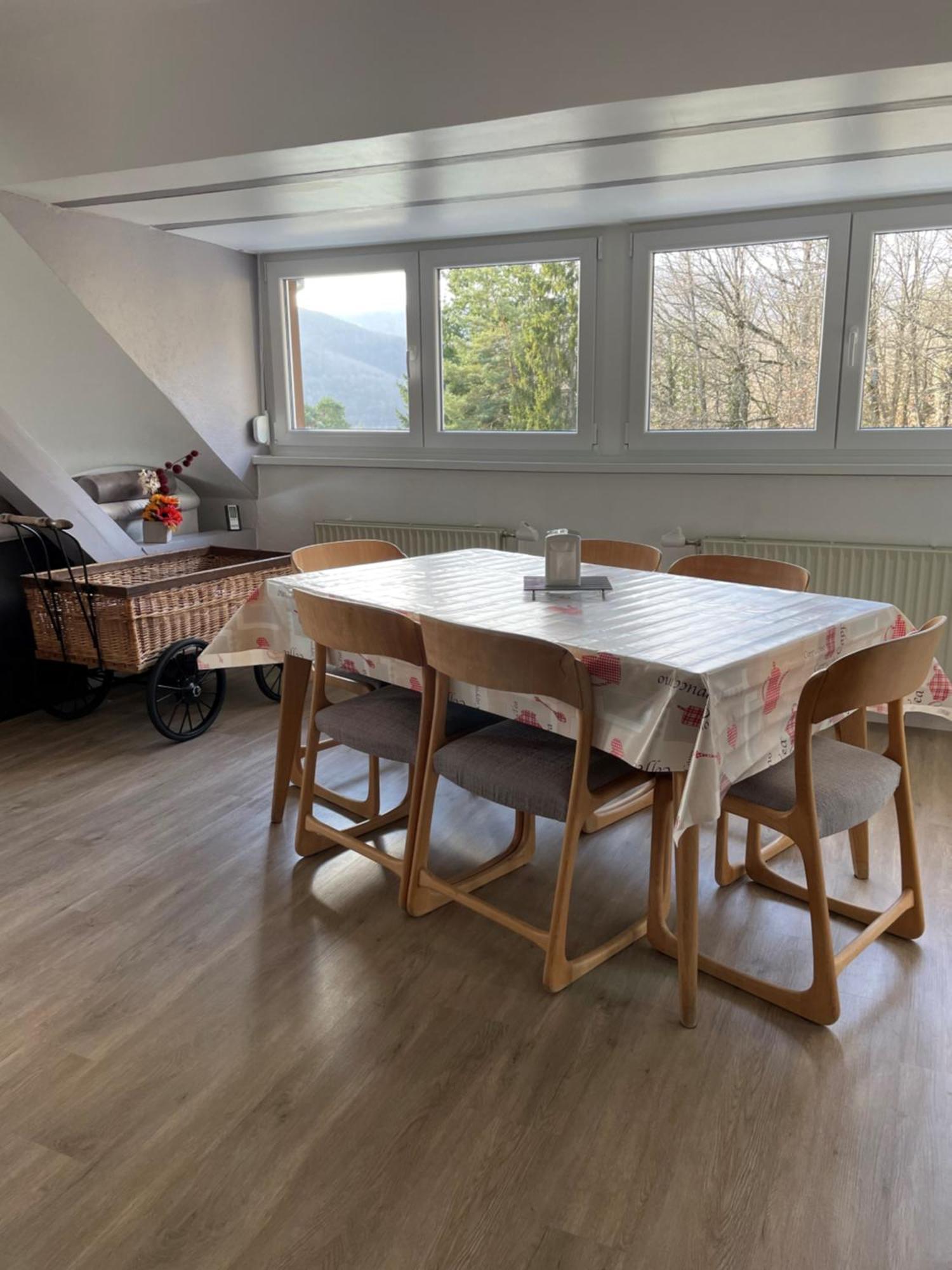 Gite Spacieux, Lumineux Et Tres Cosy Lautenbach Buitenkant foto